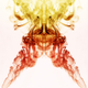 Image for article titled 82 Striking Photos of Smoke